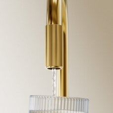 Aukso spalvos virtuvinis maišytuvas su geriamojo vandens funkcija OMNIRES SWITCH su filtruoto vandens sistema
