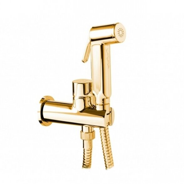 Псевдобиде комплект: встраиваемый смеситель и ручной душ Palazzani, золотой