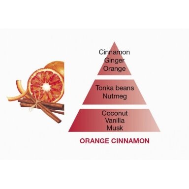 Ароматизатор - палочки Cube Orange Cinnamon LampeBerger