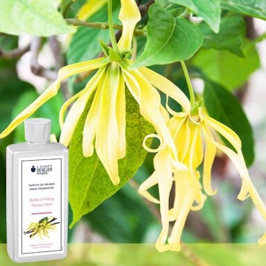 Ароматизатор - палочки Cube Soleil d'Ylang LampeBerger