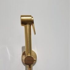 Progresyvinis bidė maišytuvas su dušeliu šlifuoto aukso spalvos Bossini E37 - PALOMA-BRASS PROGRESSIVE M (metalinė galvutė)