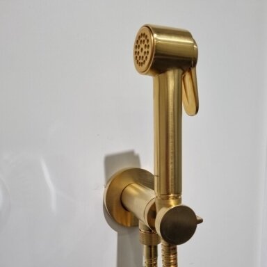 Progresyvinis bidė maišytuvas su dušeliu šlifuoto aukso spalvos Bossini E37 - PALOMA-BRASS PROGRESSIVE M (metalinė galvutė) Progresyvinis bidė maišytuvas su dušeliu šlifuoto aukso spalvos Bossini E37 - PALOMA-BRASS PROGRESSIVE M (metalinė galvutė)