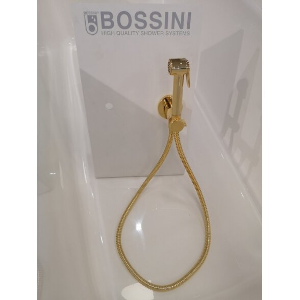 Progresyvinis auksinis bidė maišytuvas su dušeliu Bossini E37 - PALOMA-BRASS PROGRESSIVE M (metalinė galvutė) 1