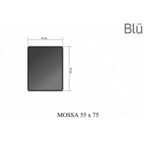 Veidrodis BLU MOSSA su LED apšvietimu 550